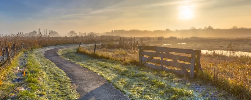 Roads To Recovery | Mainspring Wealth Advisors