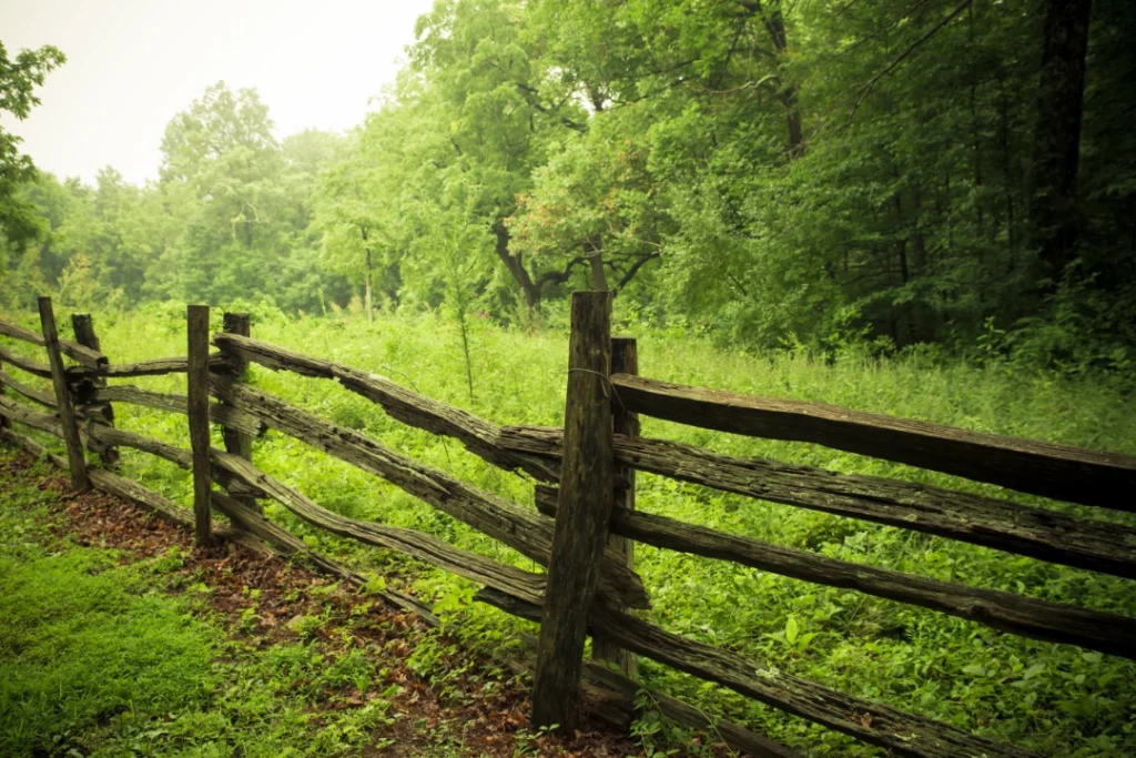 The Greener Grass | Mainspring Wealth Advisors